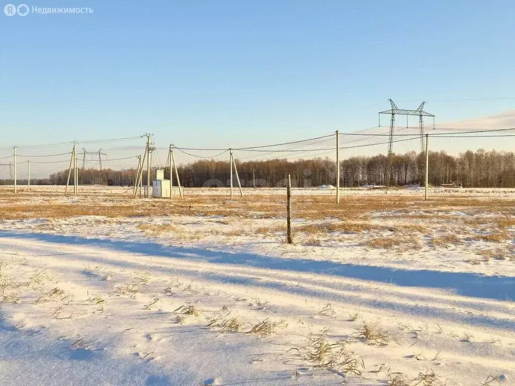 Участок в Тюменский район, село Каменка (11.36 м) - Фото 0