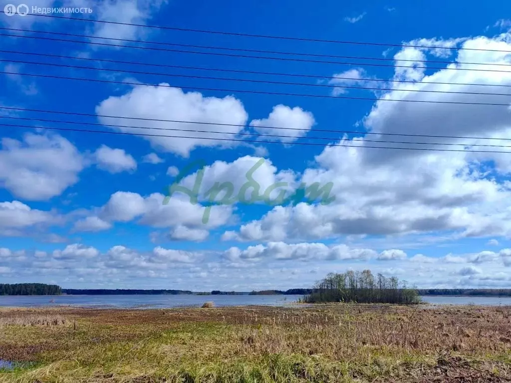Участок в Тверская область, посёлок городского типа Пено (10 м) - Фото 1