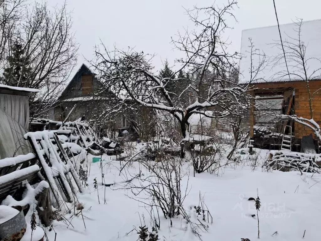 Участок в Санкт-Петербург Имени Я.М. Свердлова СНТ, ул. Северная (6.0 ... - Фото 1