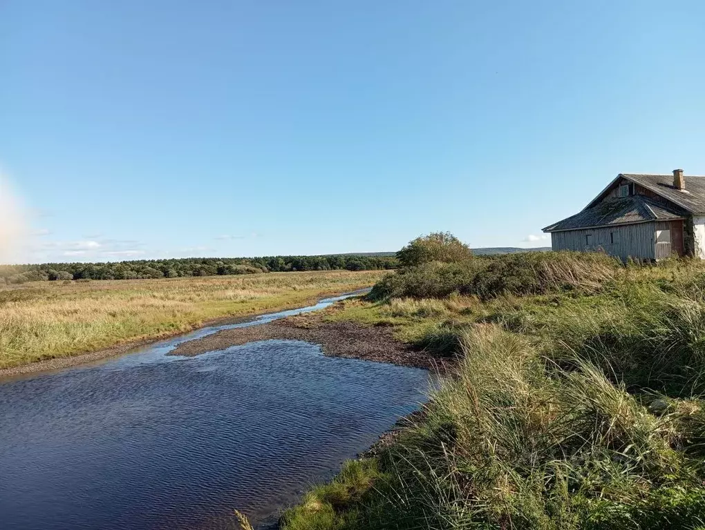 Участок в Сахалинская область, Корсаковский городской округ, с. ... - Фото 0