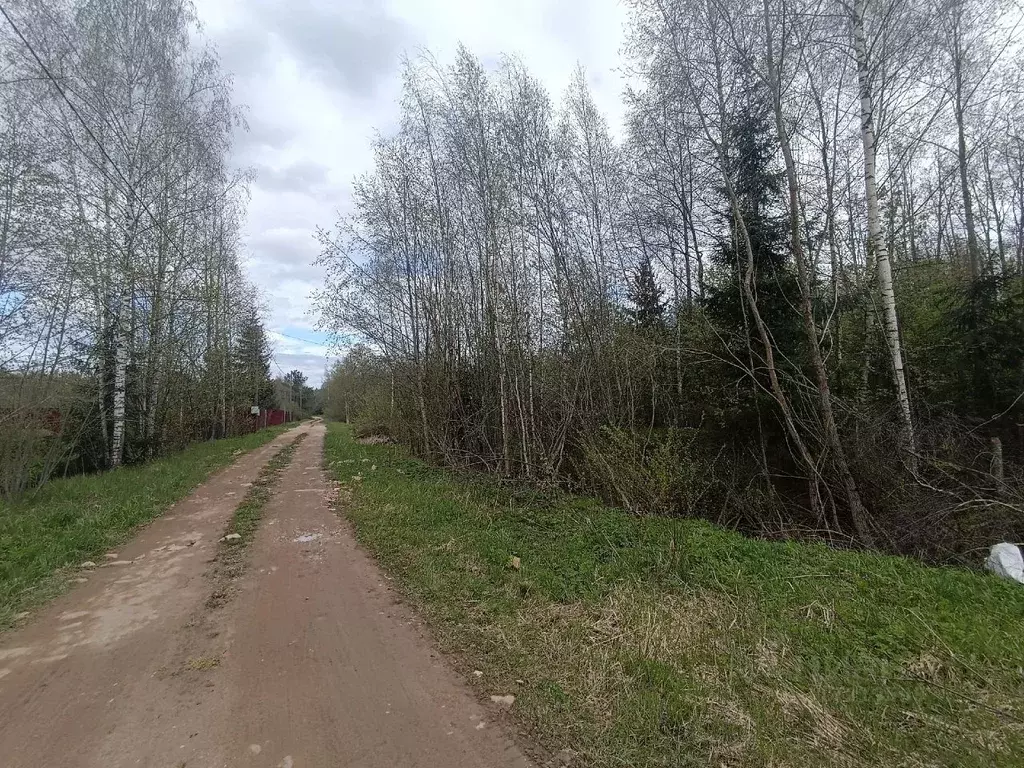 Участок в Новгородская область, Новгородский район, Ермолинское с/пос, ... - Фото 1