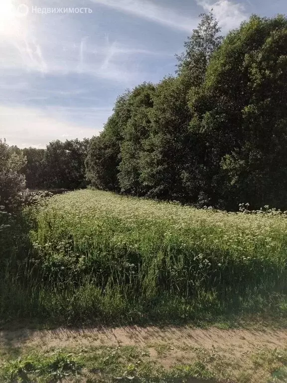 Участок в Новгородская область, Маловишерское городское поселение, ... - Фото 1