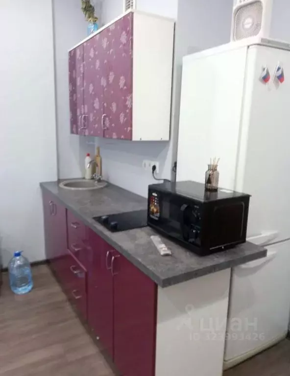 Студия Псковская область, Псковский район, Завеличенская волость, д. ... - Фото 1