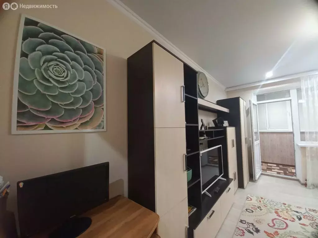 Квартира-студия: Ростов-на-Дону, переулок Салютина, 2А (28 м) - Фото 1