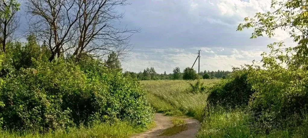 Участок в Псковская область, Псковский район, Середкинская волость, ... - Фото 1
