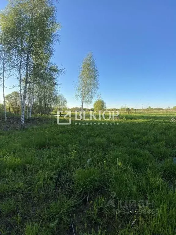 Участок в Костромская область, Красносельский район, Чапаевское с/пос, ... - Фото 2