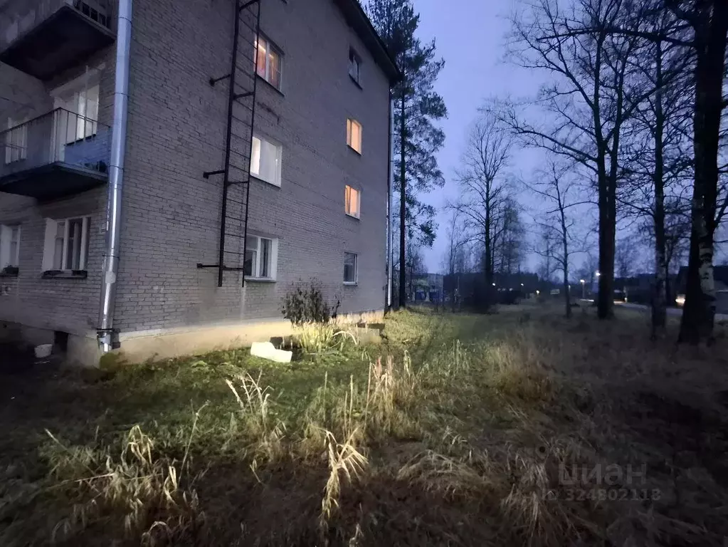 2-к кв. Ленинградская область, Гатчинский муниципальный округ, Дружная ... - Фото 2