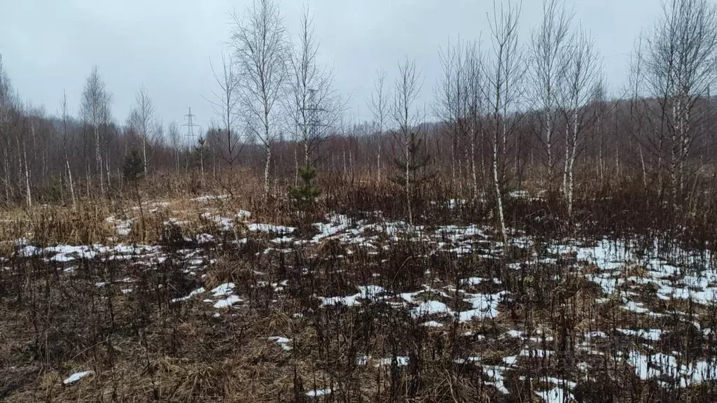 Участок в Московская область, Домодедово городской округ, с. ... - Фото 1