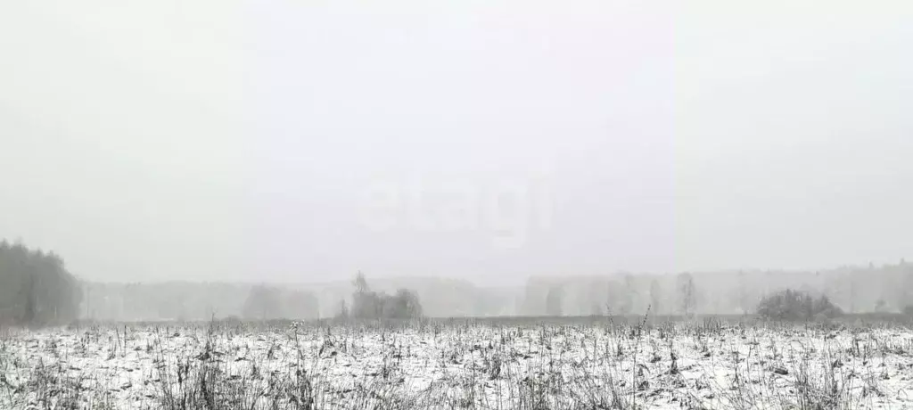 Участок в Владимирская область, Покров городской округ, д. Шиботово ... - Фото 1