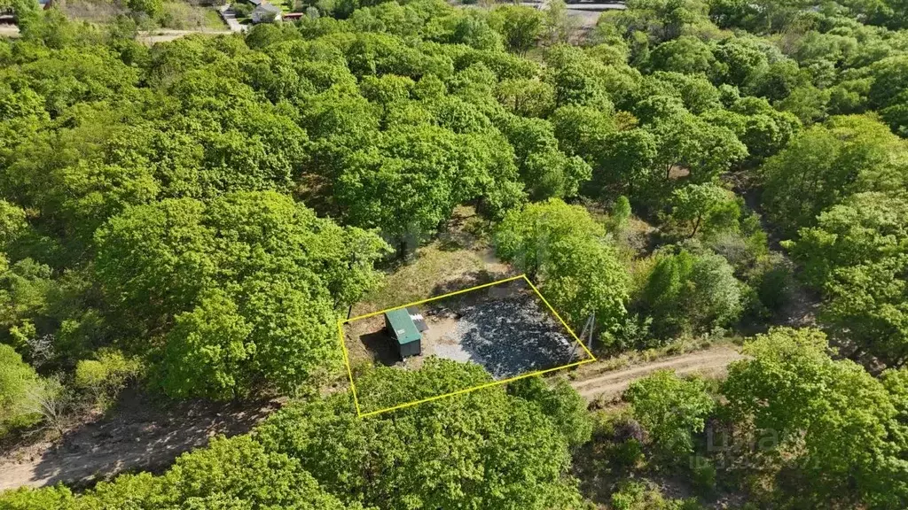 Участок в Приморский край, Надеждинский район, Тавричанское урочище ... - Фото 1
