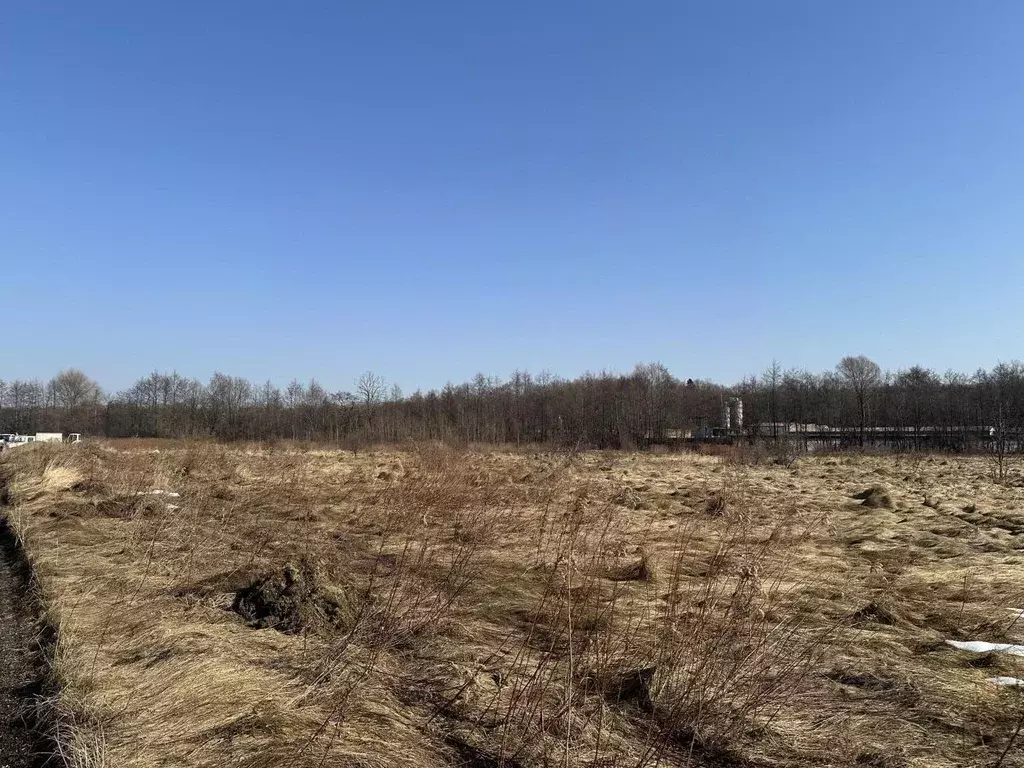 Участок в Калининградская область, Гурьевский муниципальный округ, ... - Фото 2