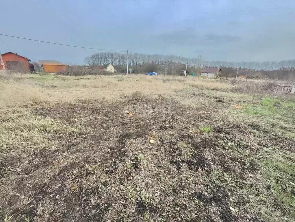 Участок в Белгородская область, Строитель Яковлевский городской округ, ... - Фото 1