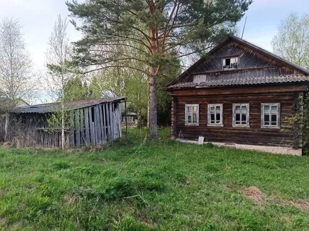 Участок в Тверская область, Рамешковский муниципальный округ, д. ... - Фото 1