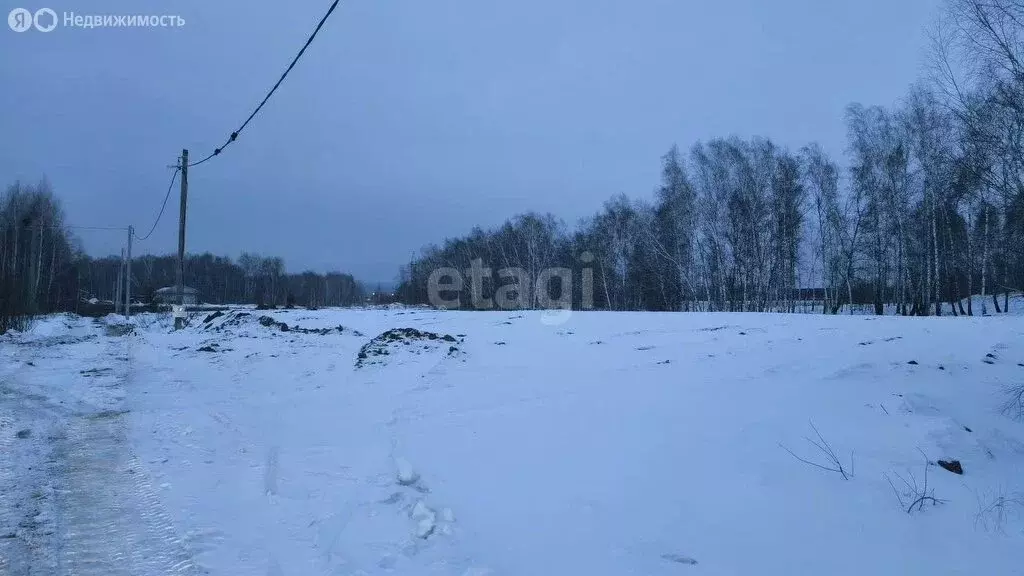 Участок в Станционный сельсовет, ДНТ Ратник (12 м) - Фото 0