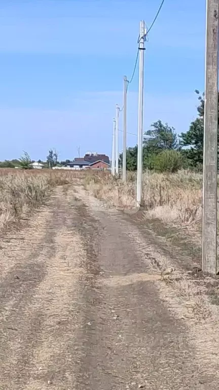 Участок в Ростовская область, Азовский район, Новоалександровское ... - Фото 1