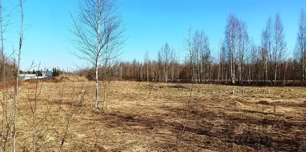 Участок в Ленинградская область, Всеволожск ул. Валаамская (3.2 сот.) - Фото 1