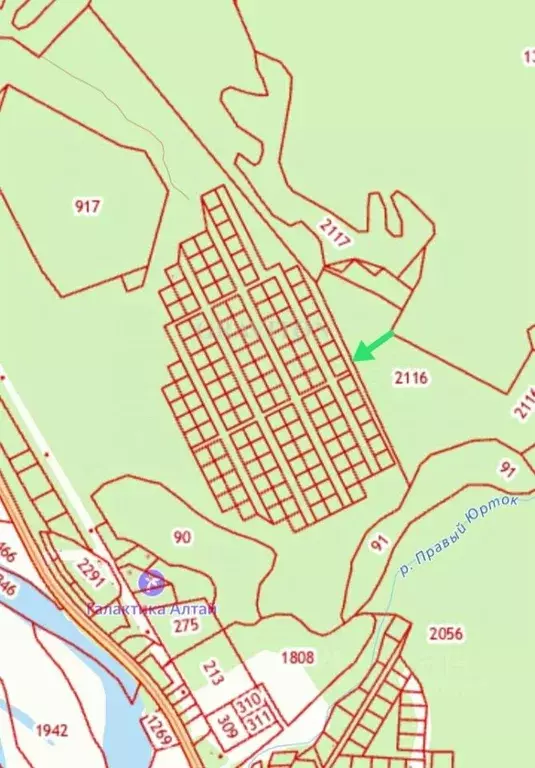 Участок в Алтай, Турочакский район, с. Артыбаш ул. Глухариная (10.0 ... - Фото 2