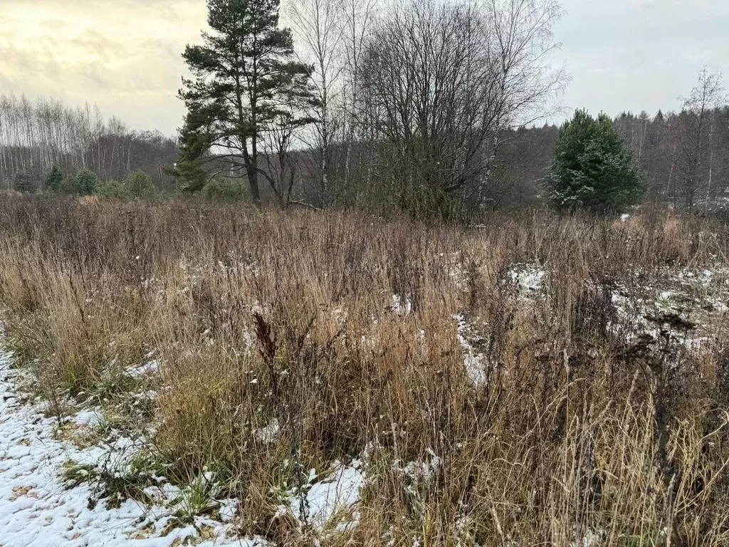 Участок в Московская область, Богородский городской округ, д. ... - Фото 1