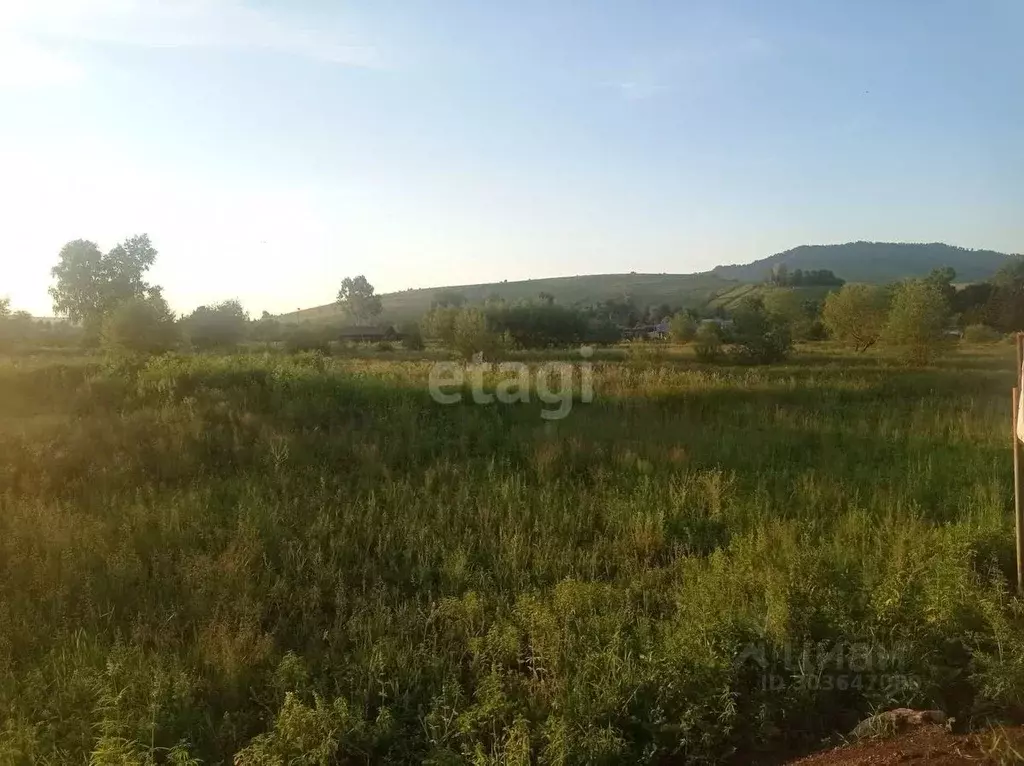 Участок в Алтайский край, Алтайский район, с. Верх-Ая Школьная ул. ... - Фото 0