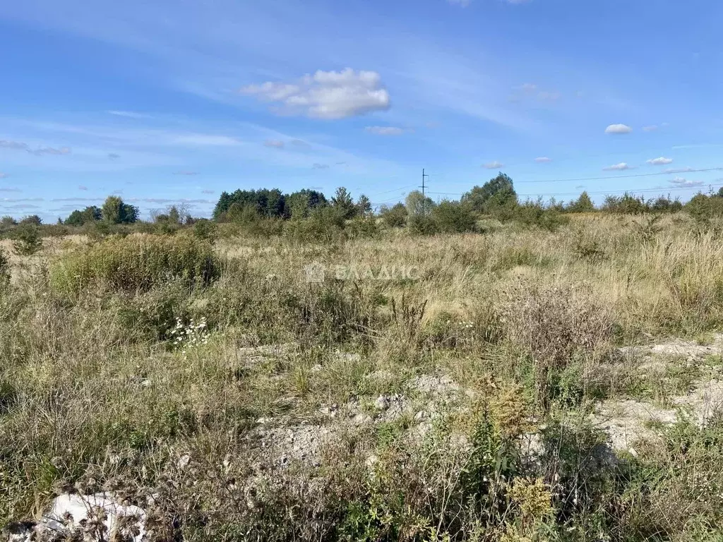 Участок в Калининградская область, Гурьевский муниципальный округ, ... - Фото 2