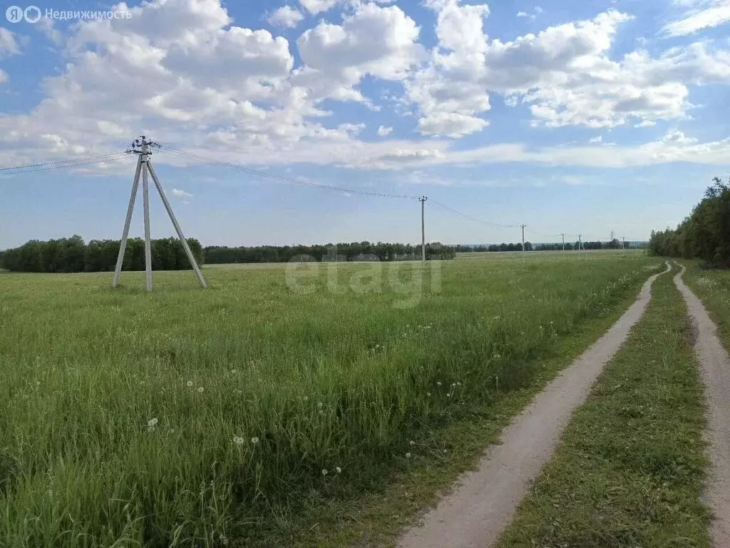 Участок в Тульская область, Ефремовский муниципальный округ, деревня ... - Фото 2