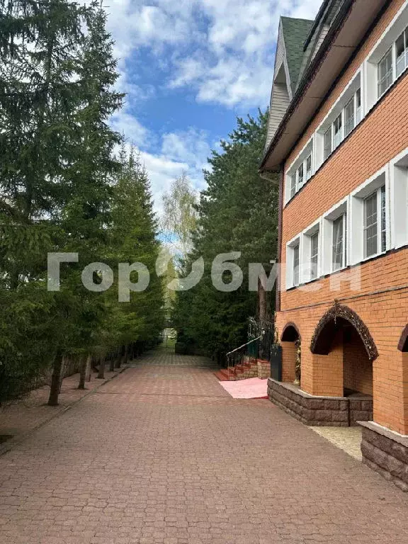 Продается дом в д. Турицино - Фото 2