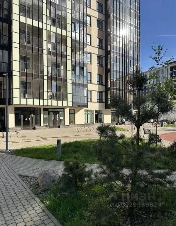 Помещение свободного назначения в Санкт-Петербург просп. ... - Фото 1