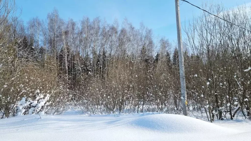 Участок в Московская область, Пушкинский городской округ, Дарьино ... - Фото 1