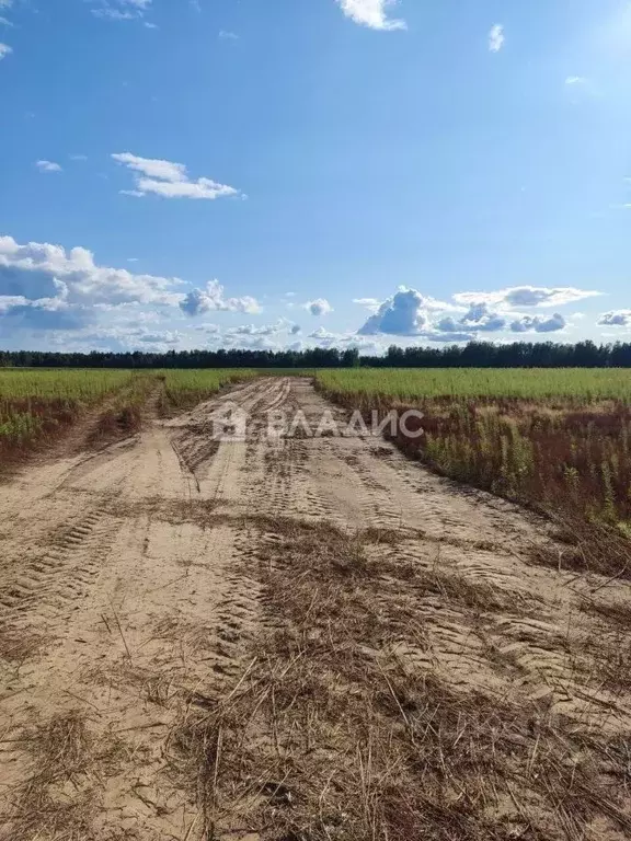 Участок в Нижегородская область, Городецкий муниципальный округ, д. ... - Фото 1
