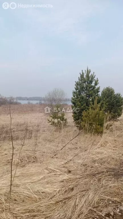 Участок в Калужская область, Боровский муниципальный округ, деревня ... - Фото 2