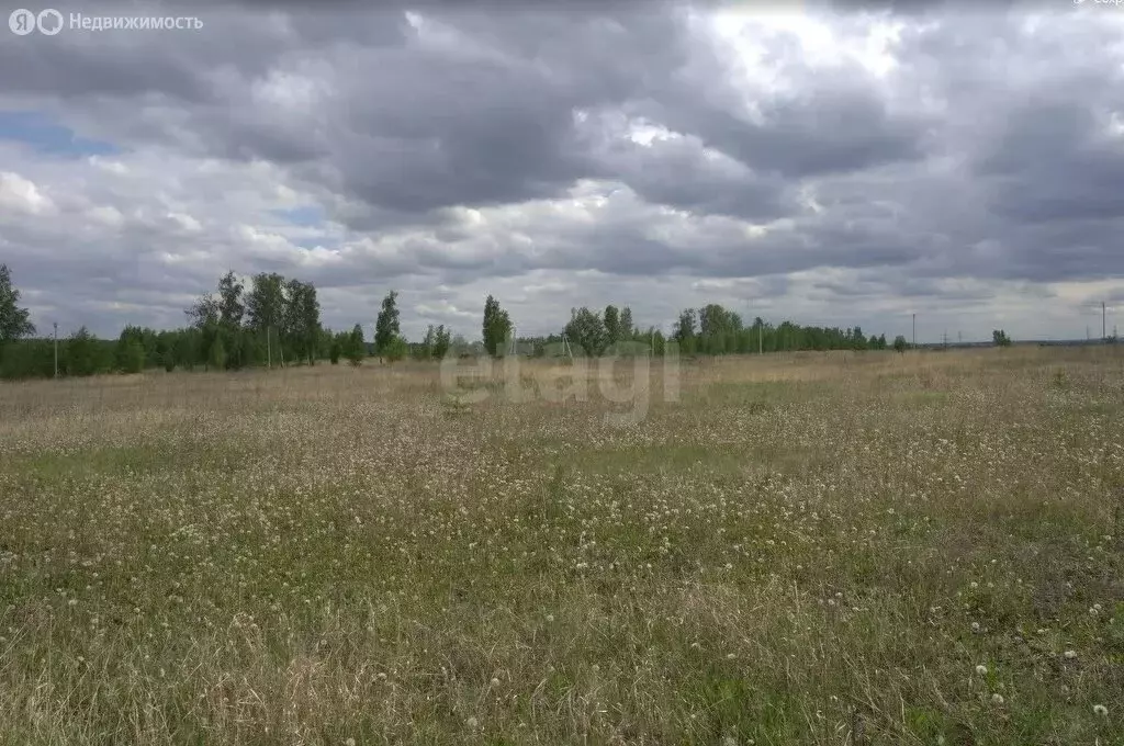 Участок в Поспеловское сельское поселение, посёлок Луговой (10 м) - Фото 1
