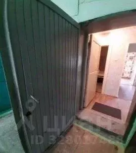 2-к кв. Челябинская область, Юрюзань Катав-Ивановский район, ул. ... - Фото 2