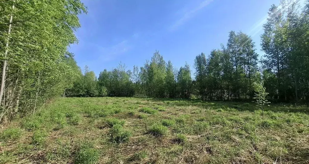 Участок в Ленинградская область, Новая Ладога Волховский район, Нептун ... - Фото 1