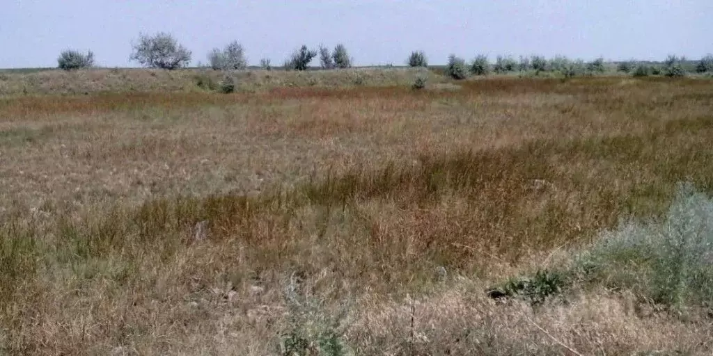 Участок в Ростовская область, Батайск Донская Чаша садовое ... - Фото 1