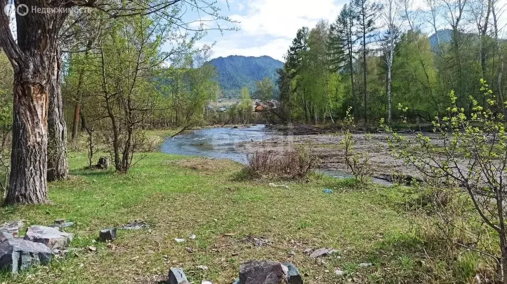 Участок в Онгудайский район, село Онгудай (57 м) - Фото 0