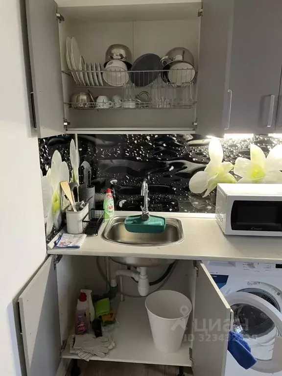 Студия Санкт-Петербург ул. Чарушинская, 24к1 (23.1 м) - Фото 2