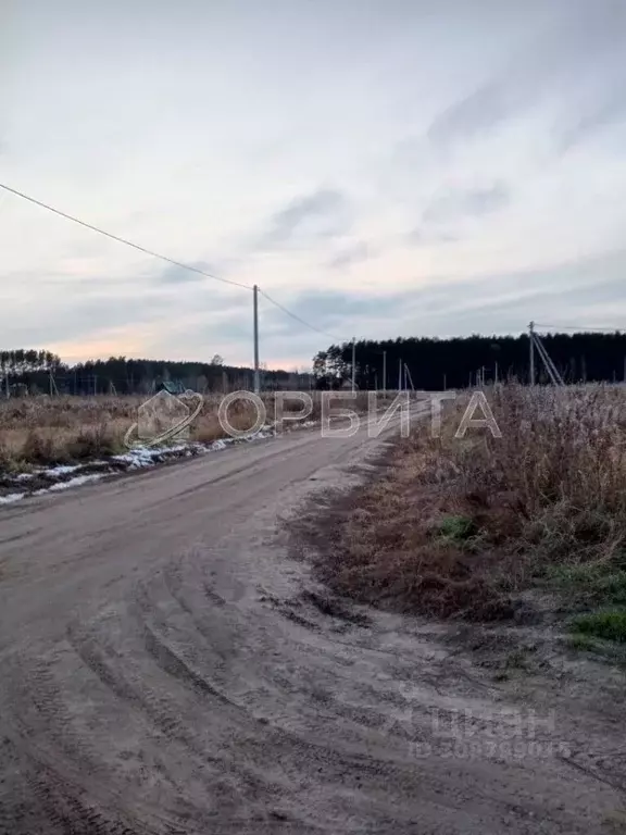 Участок в Тюменская область, Тюменский район, д. Решетникова  (7.94 ... - Фото 1