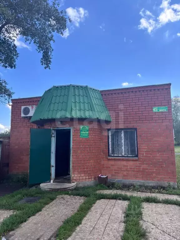 Торговая площадь в Воронежская область, Верхнехавский район, с. ... - Фото 1