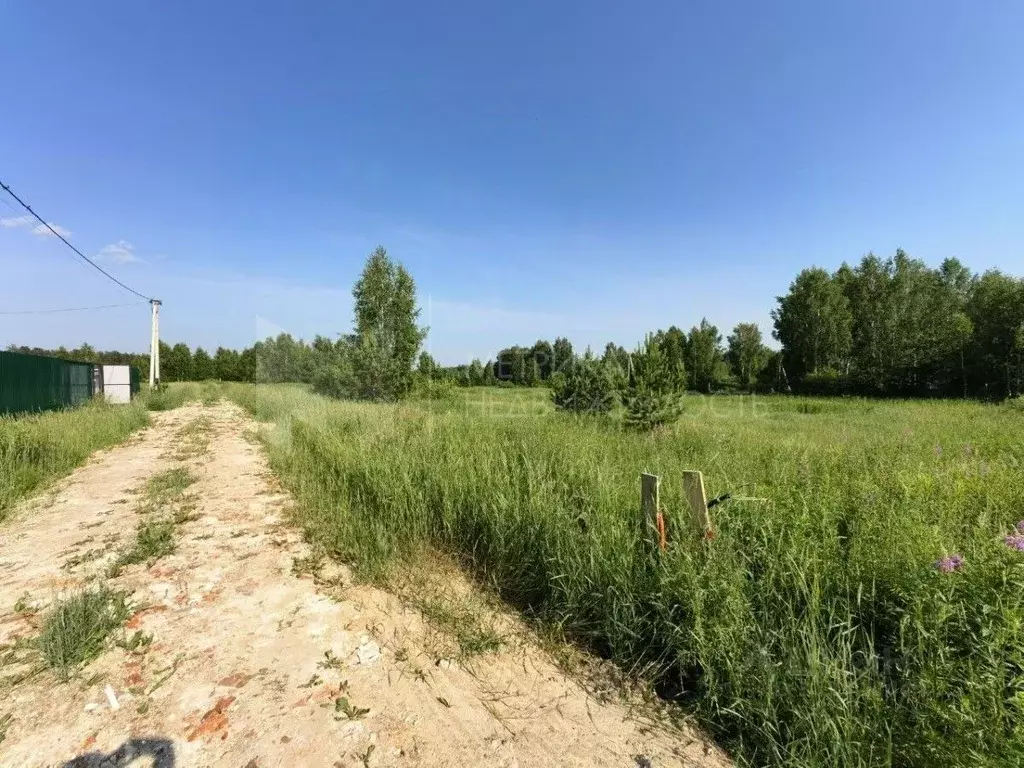 Участок в Тюменская область, Нижнетавдинский район, Геолог-2 СНТ  (4.0 ... - Фото 1