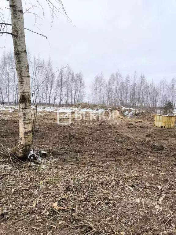 Участок в Ярославская область, Некрасовский муниципальный округ, д. ... - Фото 1