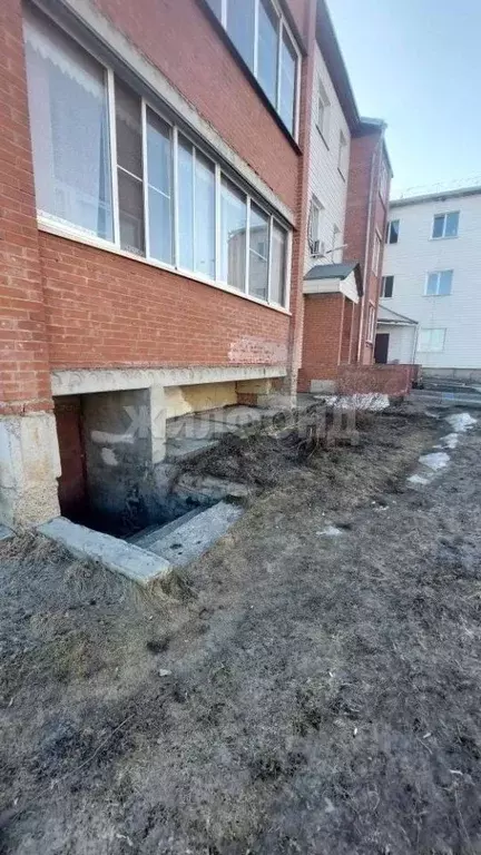 Помещение свободного назначения в Новосибирская область, Новосибирск ... - Фото 1