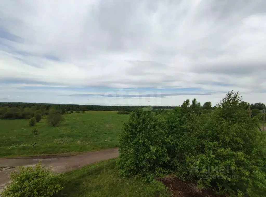 Участок в Вологодская область, Кириллов  (443.0 сот.) - Фото 0