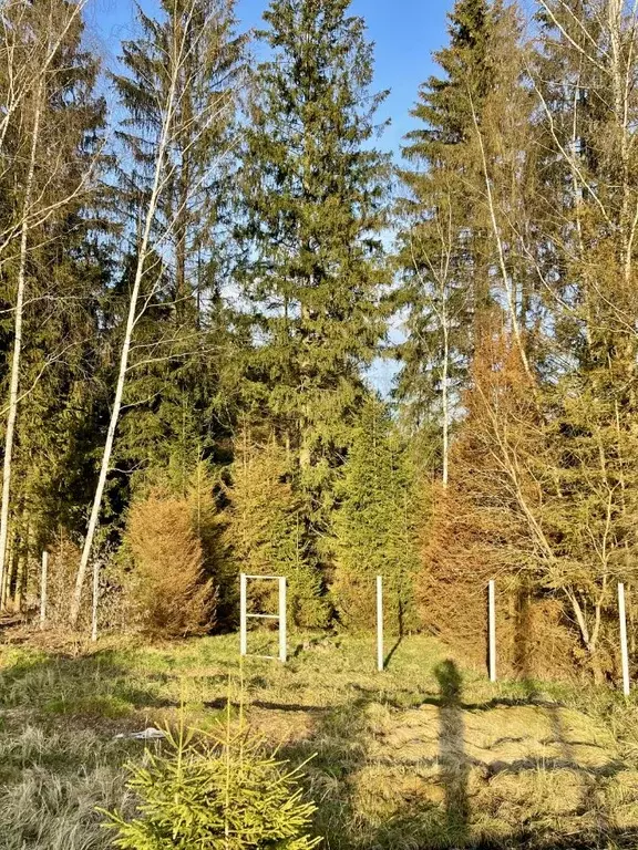 Участок в Московская область, Дмитровский муниципальный округ, д. ... - Фото 1