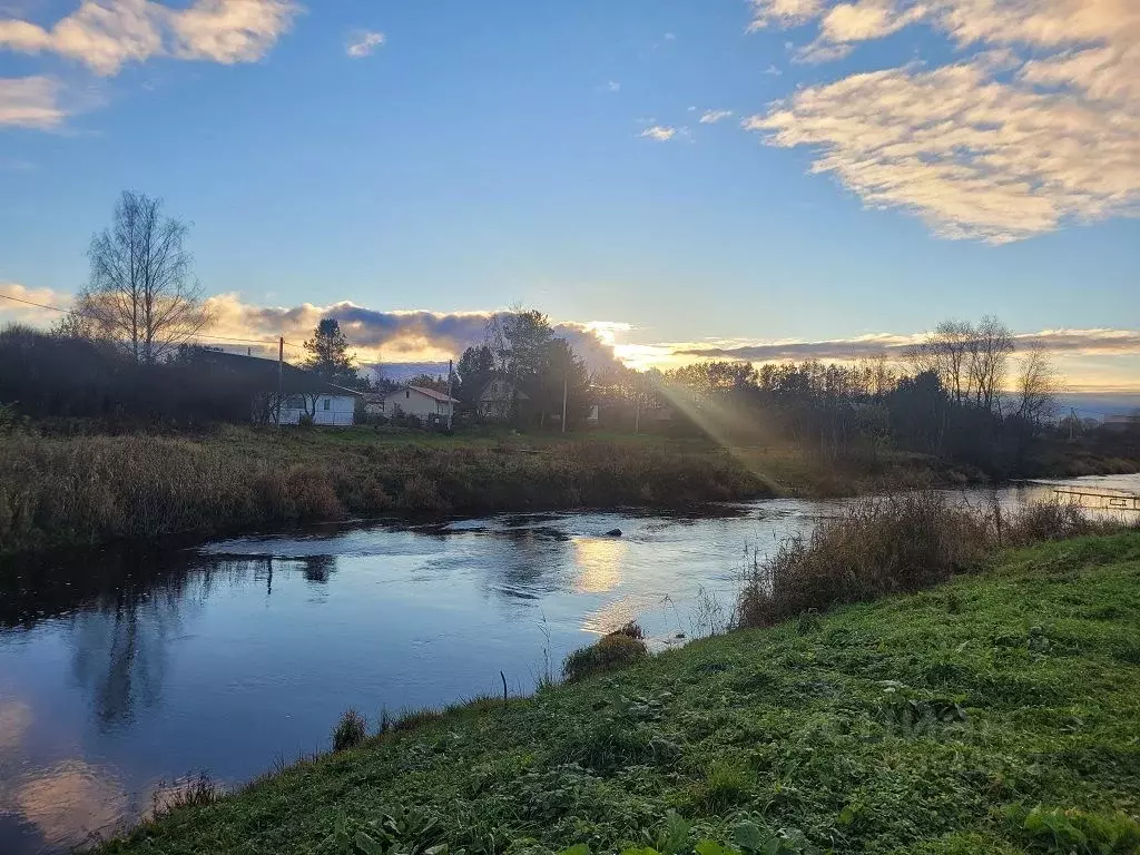 Участок в Ленинградская область, Ломоносовский район, Лебяженское ... - Фото 1