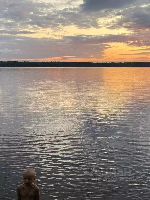 3-к кв. Новгородская область, Окуловский район, Березовикское с/пос, ... - Фото 0