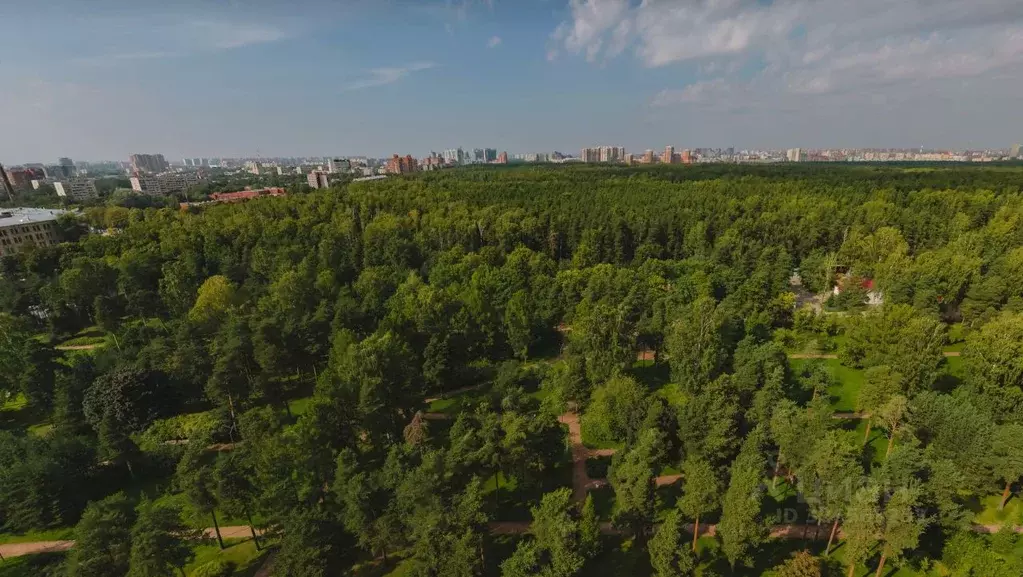 1-к кв. Санкт-Петербург Светлановский просп., 45 (87.0 м) - Фото 1