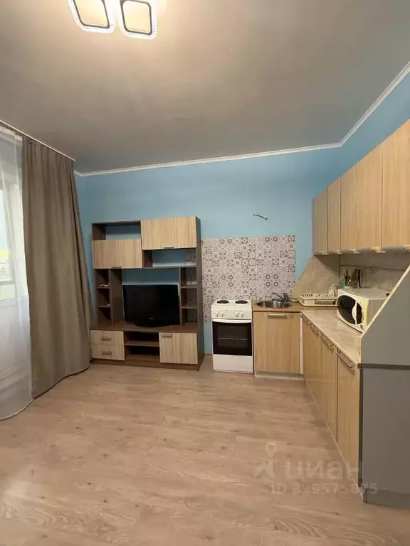 Студия Ленинградская область, Мурино Всеволожский район, аллея ... - Фото 2