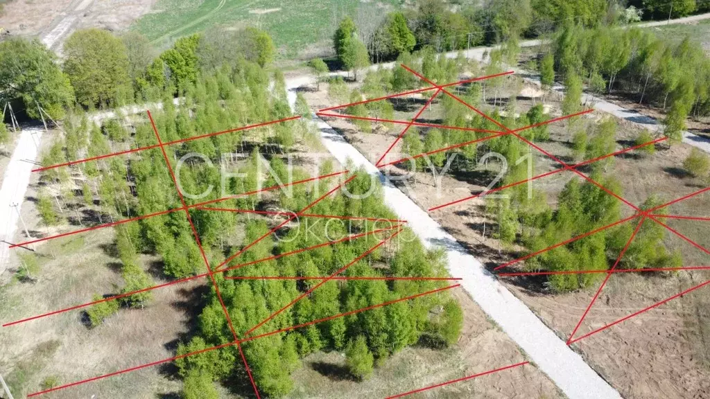 Участок в Калининградская область, Гурьевский муниципальный округ, ... - Фото 1