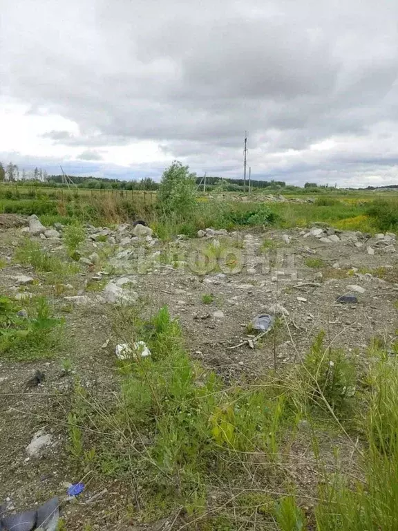 Участок в Новосибирская область, Новосибирский район, Криводановский ... - Фото 1