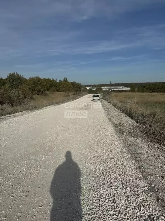 Участок в Владимирская область, Суздальский район, Новоалександровское ... - Фото 0